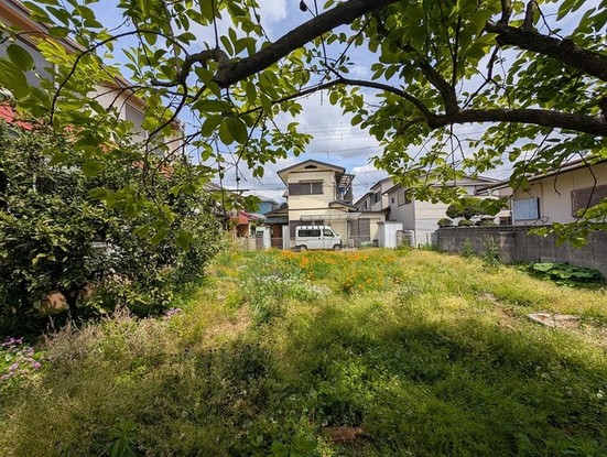 detached 埼玉県さいたま市見沼区東大宮５丁目31-9 NYビル