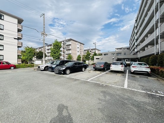 apartment 埼玉県さいたま市見沼区東大宮５丁目31-9 NYビル