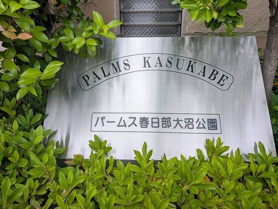 apartment 埼玉県さいたま市見沼区東大宮５丁目31-9 NYビル