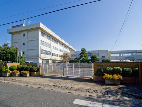 apartment 埼玉県さいたま市見沼区東大宮５丁目31-9 NYビル