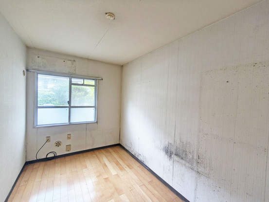 apartment 埼玉県さいたま市見沼区東大宮５丁目31-9 NYビル