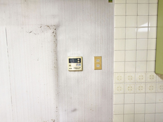 apartment 埼玉県さいたま市見沼区東大宮５丁目31-9 NYビル