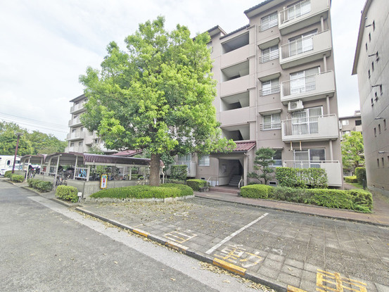 apartment 埼玉県さいたま市見沼区東大宮５丁目31-9 NYビル