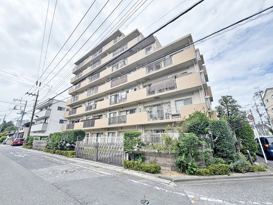 apartment 埼玉県さいたま市見沼区東大宮５丁目31-9 NYビル