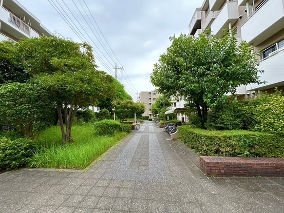 apartment 埼玉県さいたま市見沼区東大宮５丁目31-9 NYビル