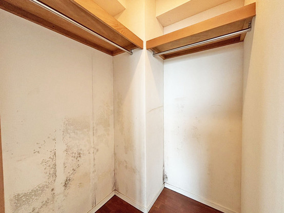 apartment 埼玉県さいたま市見沼区東大宮５丁目31-9 NYビル