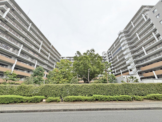 apartment 埼玉県さいたま市見沼区東大宮５丁目31-9 NYビル