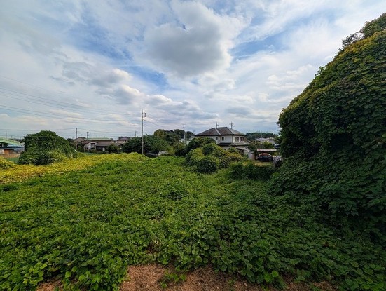 apartment 埼玉県さいたま市見沼区東大宮５丁目31-9 NYビル