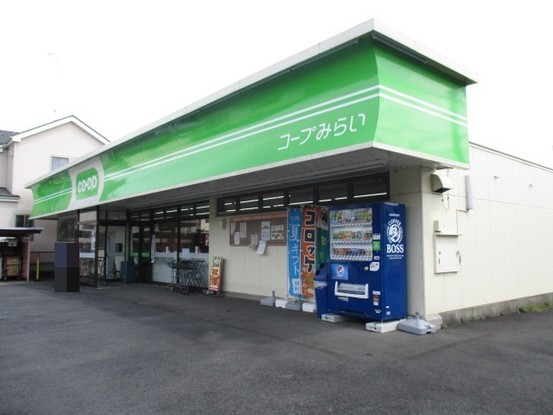 apartment 埼玉県さいたま市見沼区東大宮５丁目31-9 NYビル