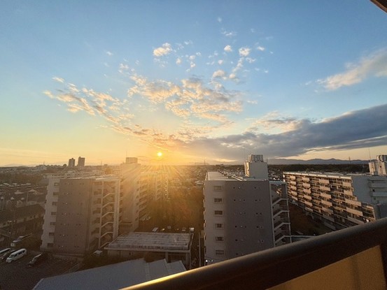 apartment 埼玉県所沢市向陽町
地図を見る