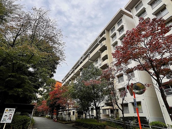 apartment 東京都西東京市西原町４丁目
地図を見る