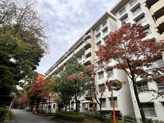 apartment 東京都西東京市西原町４丁目
地図を見る