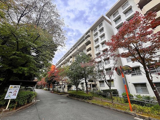 apartment 東京都西東京市西原町４丁目
地図を見る