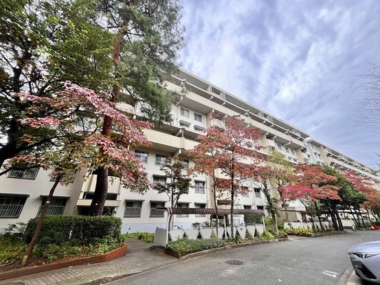 apartment 東京都西東京市西原町４丁目
地図を見る