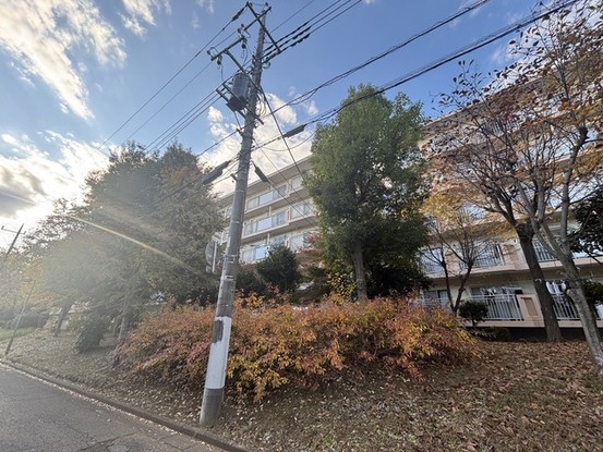 apartment 埼玉県富士見市西みずほ台３丁目
地図を見る