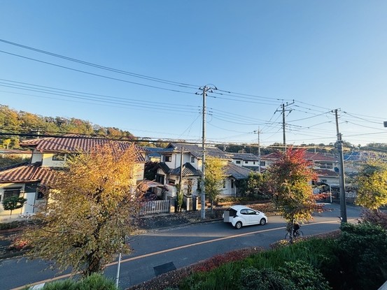 detached 埼玉県所沢市松が丘２丁目
地図を見る