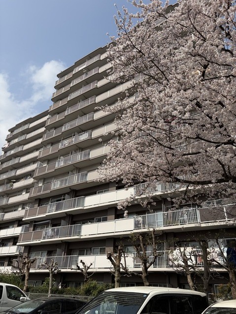 apartment 埼玉県入間郡三芳町大字藤久保
地図を見る