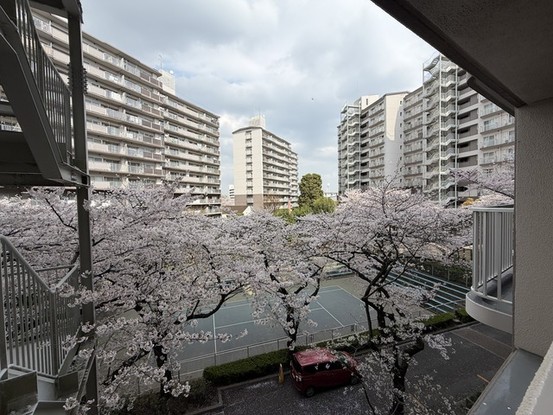 apartment 埼玉県入間郡三芳町大字藤久保
地図を見る