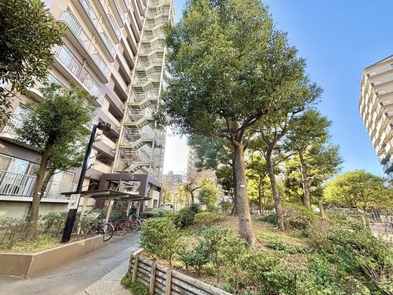 apartment 埼玉県入間郡三芳町大字藤久保
地図を見る