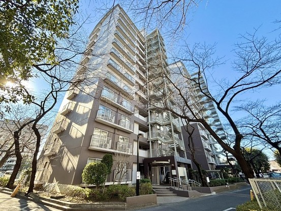 apartment 埼玉県入間郡三芳町大字藤久保
地図を見る