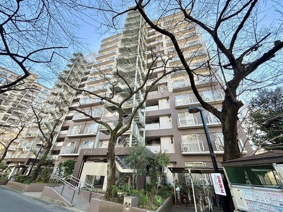 apartment 埼玉県入間郡三芳町大字藤久保
地図を見る