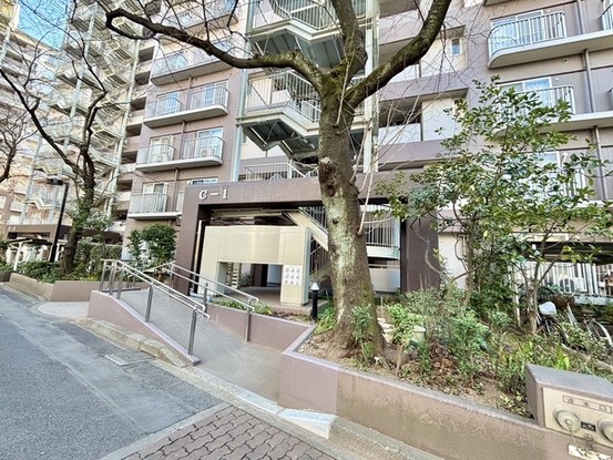 apartment 埼玉県入間郡三芳町大字藤久保
地図を見る