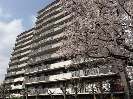 apartment 埼玉県入間郡三芳町大字藤久保
地図を見る