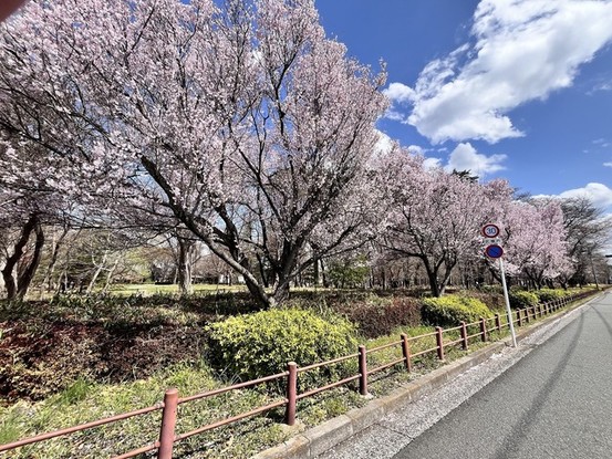 apartment 東京都東村山市富士見町３丁目
地図を見る