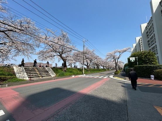 apartment 埼玉県志木市館２丁目
地図を見る
