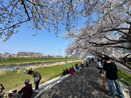 apartment 埼玉県志木市館２丁目
地図を見る