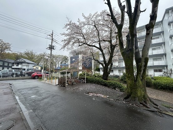 apartment 埼玉県所沢市小手指町３丁目
地図を見る