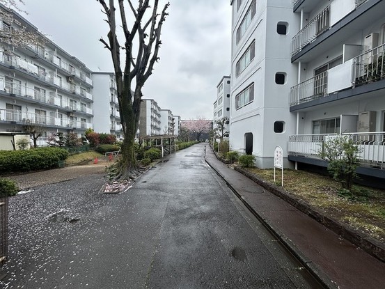 apartment 埼玉県所沢市小手指町３丁目
地図を見る