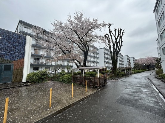 apartment 埼玉県所沢市小手指町３丁目
地図を見る