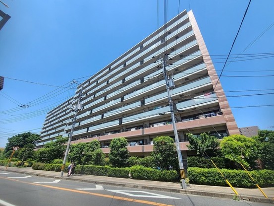 apartment 埼玉県志木市柏町１丁目
地図を見る