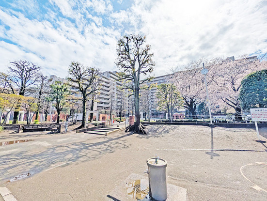 apartment 埼玉県志木市幸町３丁目
地図を見る