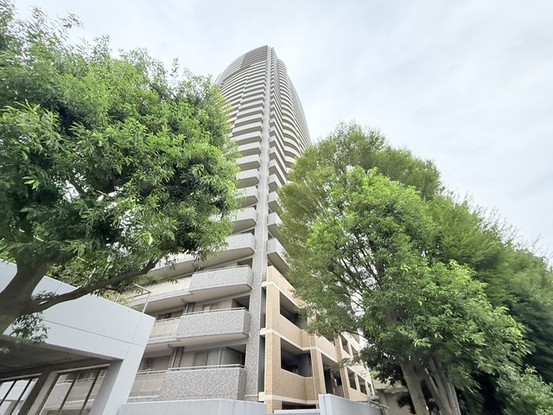 apartment 埼玉県富士見市ふじみ野西２丁目
地図を見る