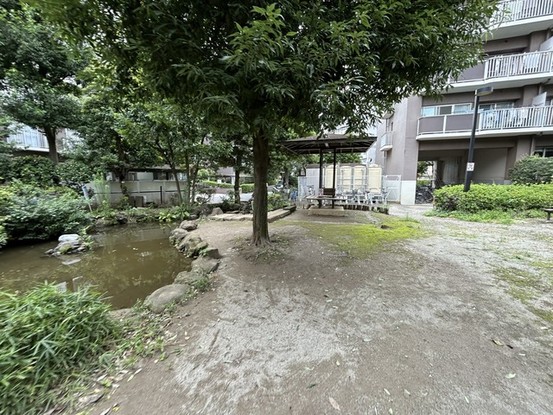 apartment 埼玉県入間郡三芳町大字藤久保
地図を見る
