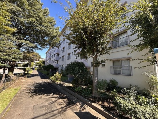 apartment 埼玉県入間市黒須１丁目
地図を見る