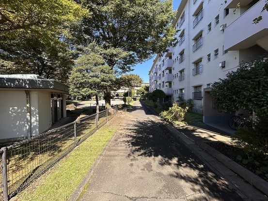 apartment 埼玉県入間市黒須１丁目
地図を見る