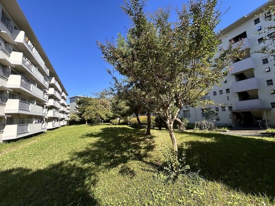 apartment 埼玉県入間市黒須１丁目
地図を見る
