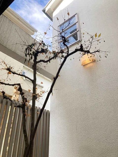 detached 東京都中野区新井２丁目1-19 パックマートビル4F