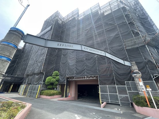 apartment 埼玉県越谷市大字袋山1361-16