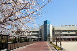 apartment 埼玉県越谷市大字袋山1361-16