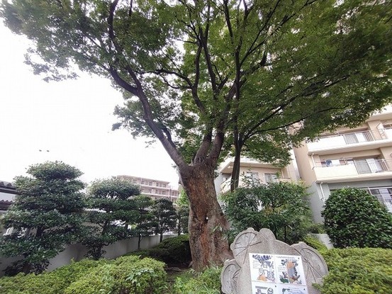 apartment 埼玉県越谷市大字袋山1361-16