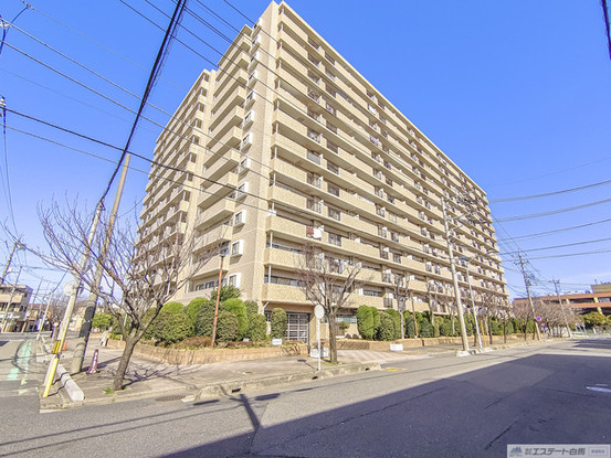 apartment 埼玉県さいたま市南区南浦和２丁目38-1 北原ビル1階