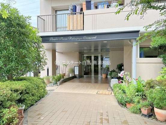 apartment 埼玉県さいたま市南区南浦和２丁目38-1 北原ビル1階