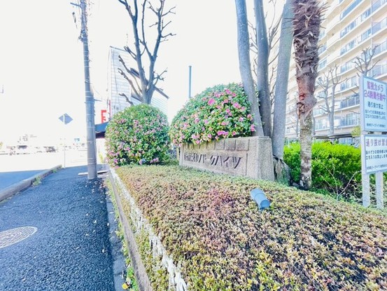 apartment 埼玉県さいたま市南区南浦和２丁目38-1 北原ビル1階