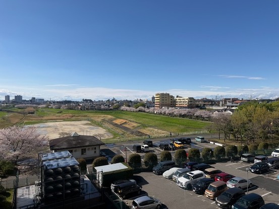 apartment 埼玉県さいたま市南区南浦和２丁目38-1 北原ビル1階