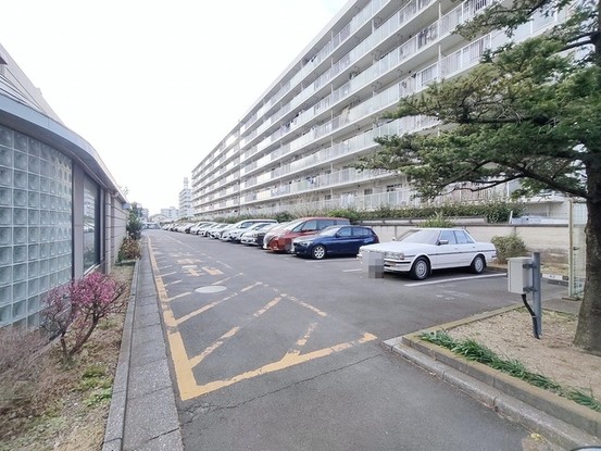 apartment 埼玉県さいたま市南区南浦和２丁目38-1 北原ビル1階