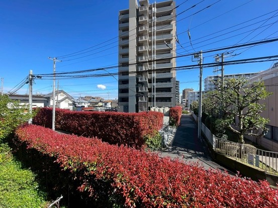 apartment 埼玉県さいたま市南区南浦和２丁目38-1 北原ビル1階